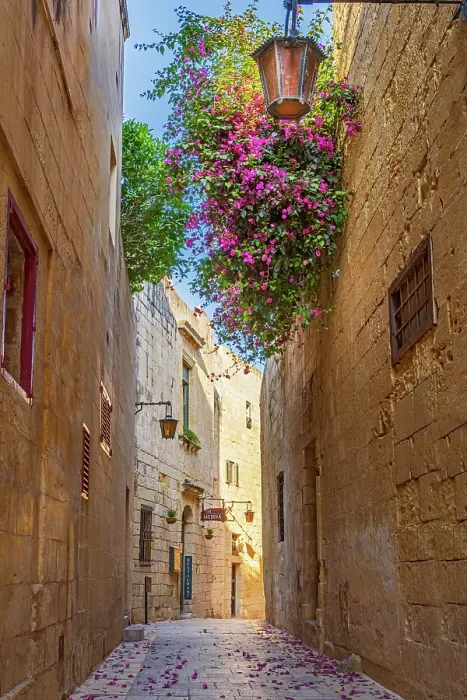 Framed Print : Mdina (old capital of Malta), Malta Framed Print : Mdina (old capital of Malta), Malta