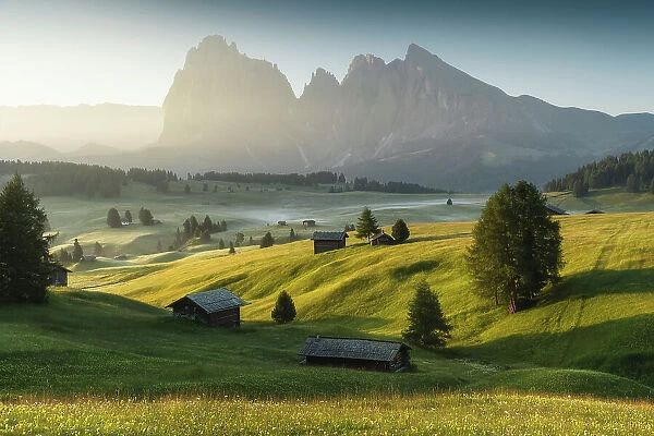 Meadows of the Alpe di Siusi (Seiser Alm), with the Sassolungo and Sassopiatto wooden cabins. Dolomites, Italy