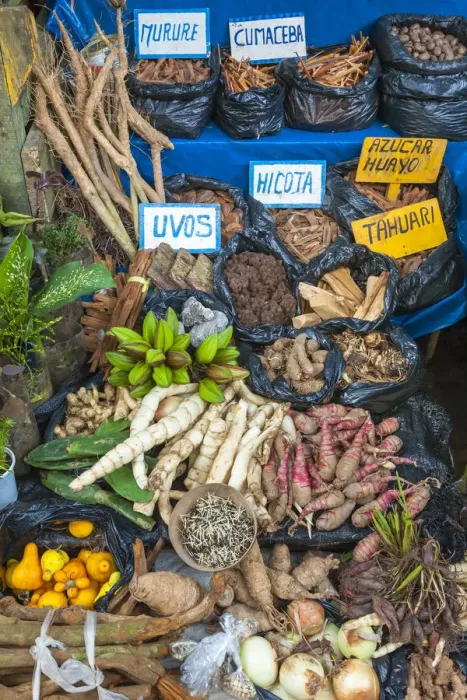 Framed Print : Medicinal herbs and traditional medicine for sale in the Belen Market, Iquitos, Loreto Framed Print : Medicinal herbs and traditional medicine for sale in the Belen Market, Iquitos, Loreto