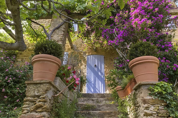 Mediterranean flair in the medieval village of Bormes-les-Mimosas, Department Var, Provence, Alpes-Maritimes, Provence-Alpes-Cote d'Azur, French Riviera, , South France, France