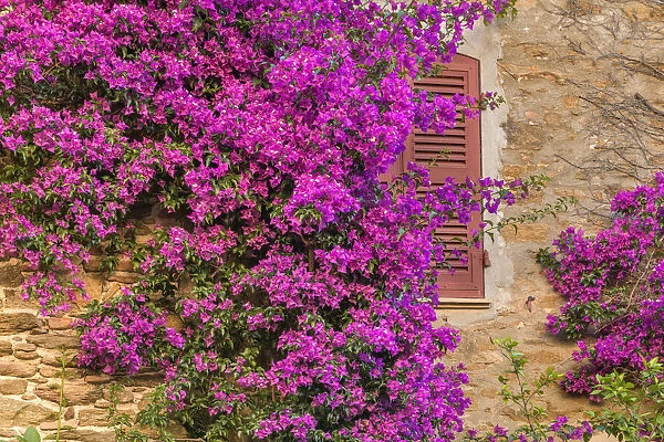 Mediterranean flair in the medieval village of Bormes-les-Mimosas, Department Var, Provence, Alpes-Maritimes, Provence-Alpes-Cote d Azur, French Riviera, , South France, France