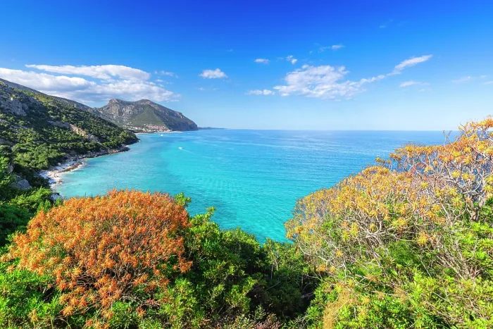 Framed Print : Mediterranean vegetation with view on coast of Cala Gonone, Dorgali, Nuoro province, Sardinia, Italy Framed Print : Mediterranean vegetation with view on coast of Cala Gonone, Dorgali, Nuoro province, Sardinia, Italy