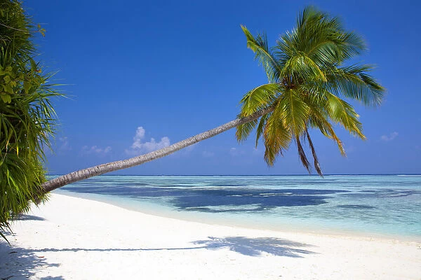 Meeru Island, the Maldives, Indian Ocean