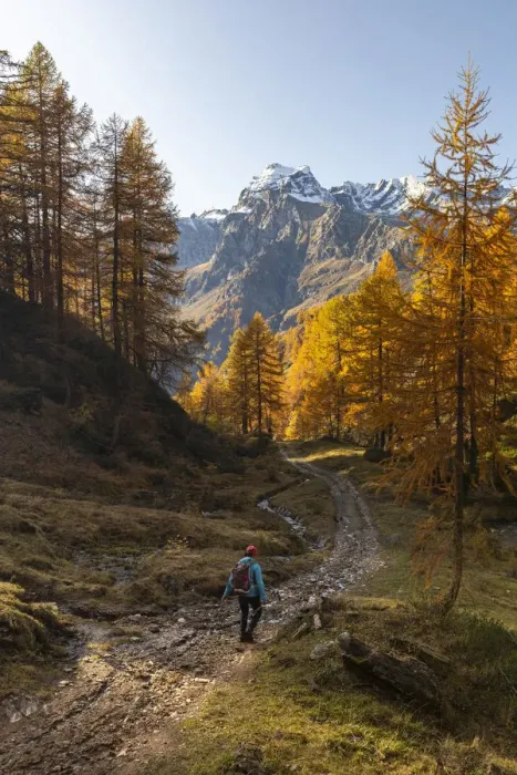 Framed Print : A men walking on a trail near Laghi del Sangiatto in autumn