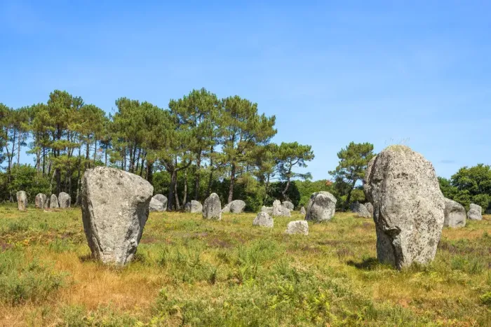 Framed Print : Menhirs of Carnac, Departement Morbihan, Brittany, France Framed Print : Menhirs of Carnac, Departement Morbihan, Brittany, France