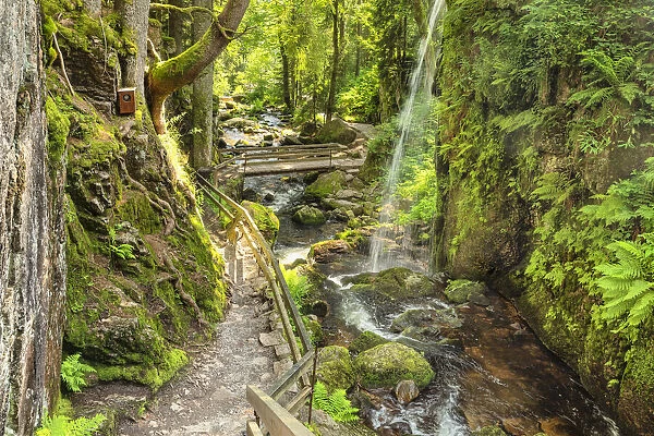 Menzenschwand Waterfalls, Menzenschwand near St. Blasien, Southern Black Forest, Baden-Wurttemberg, Germany