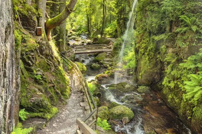 Framed Print : Menzenschwand Waterfalls, Menzenschwand near St. Blasien, Southern Black Forest, Baden-Wurttemberg, Germany Framed Print : Menzenschwand Waterfalls, Menzenschwand near St. Blasien, Southern Black Forest, Baden-Wurttemberg, Germany
