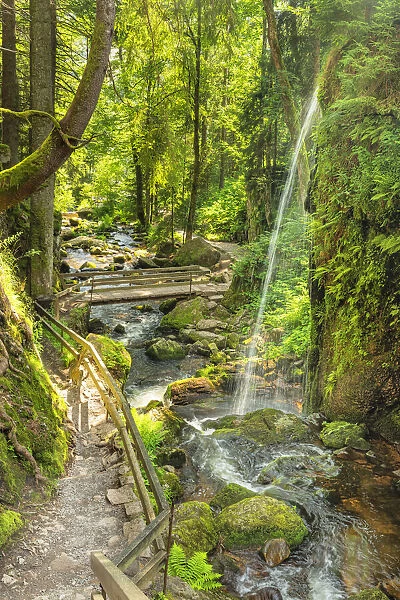 Menzenschwand Waterfalls, Menzenschwand near St. Blasien, Southern Black Forest, Baden-Wurttemberg, Germany
