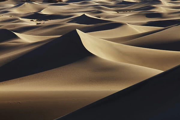 Mesquite Dunes, Stovepipe Wells, Death Valley National Park, California, USA