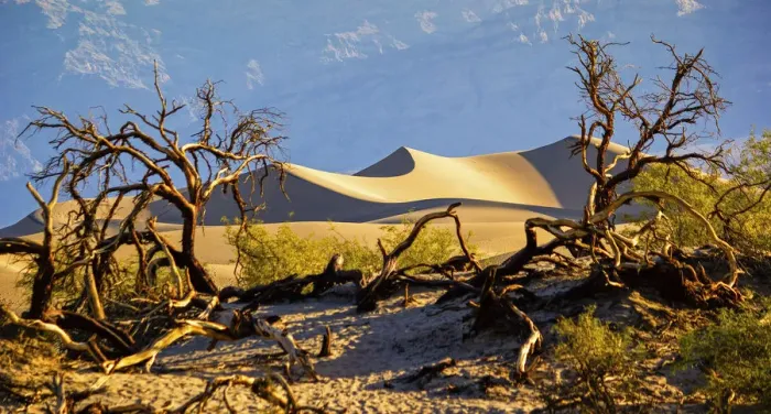 Framed Print : Mesquite flat dunes, Death Valley National Park, California, USA Framed Print : Mesquite flat dunes, Death Valley National Park, California, USA