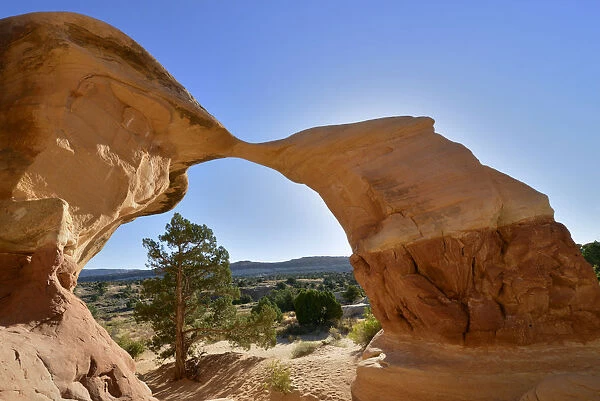 Metate Arch, Devils Garden, Grand Staircase National Monument, Colorado Plateau