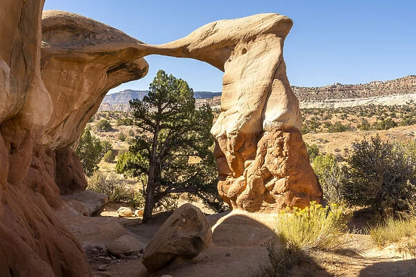Metate Arch at Devils Garden on sunny day, Grand Staircase-Escalante National