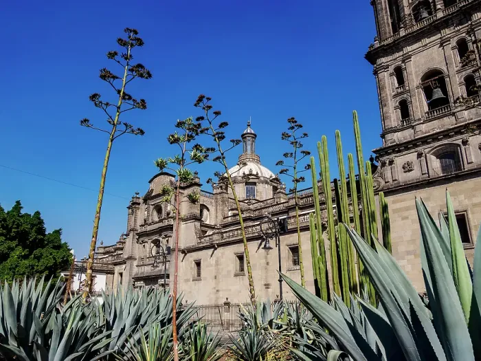 Framed Print : Metropolitan Cathedral, Zocalo or Constitution Square, Mexico City, Mexico