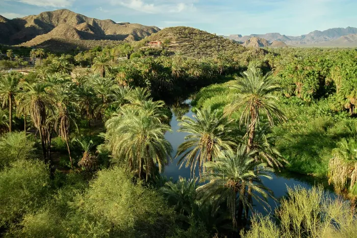 Framed Print : Mexico, Baja California Sur, Mulege, river and date palms Framed Print : Mexico, Baja California Sur, Mulege, river and date palms