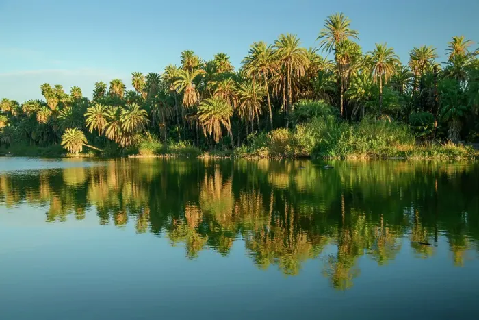 Framed Print : Mexico, Baja California Sur, San Ignacio, lgoon