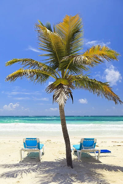 Mexico, Quintana Roo, Riviera Maya, Tulum. Sun loungers on the beach under a palm tree