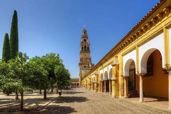 Mezquita Catedral (Mosque Cathedral), UNESCO World Heritage Site, Cordoba, Andalusia