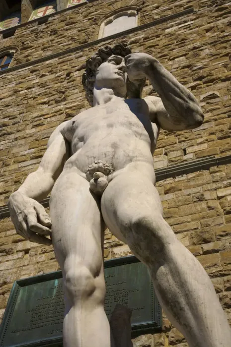 Framed Print : Michelangelos David, Piazza della Signoria, Palazzo Vecchio, Florence, Italy Framed Print : Michelangelos David, Piazza della Signoria, Palazzo Vecchio, Florence, Italy