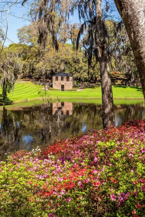 Framed Print : Middleton Place, Charleston, South Carolina, USA, North America Framed Print : Middleton Place, Charleston, South Carolina, USA, North America
