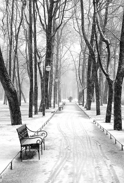 Mikhailovsky Gardens in winter, Saint Petersburg, Russia