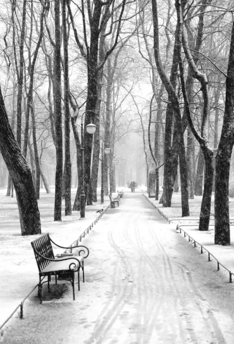 Framed Print : Mikhailovsky Gardens in winter, Saint Petersburg, Russia