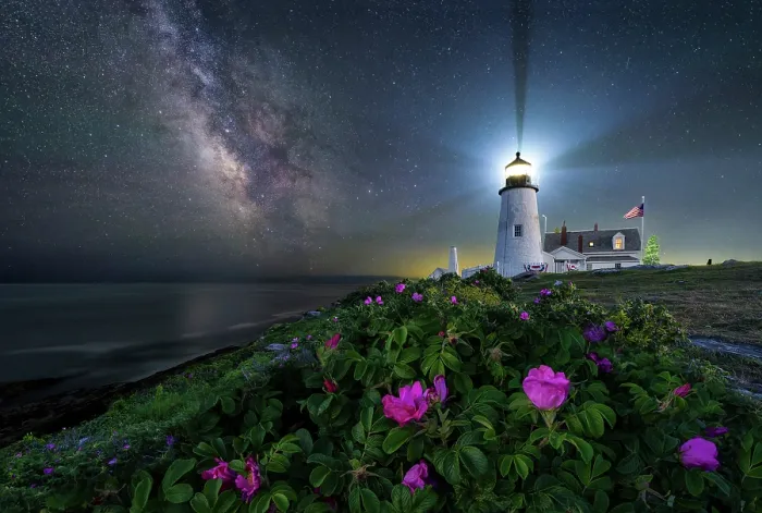 Framed Print : Milky Way and beach roses at Pemaquid Point Lighthouse, Bristol, Maine, USA Framed Print : Milky Way and beach roses at Pemaquid Point Lighthouse, Bristol, Maine, USA