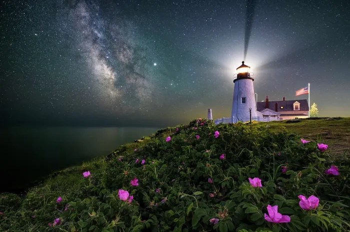Framed Print : Milky Way and beach roses at Pemaquid Point Lighthouse, Bristol, Maine, USA Framed Print : Milky Way and beach roses at Pemaquid Point Lighthouse, Bristol, Maine, USA