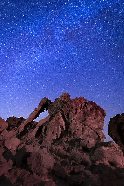 Milky way above Elephant rock formation, Valley of Fire State Park, Nevada