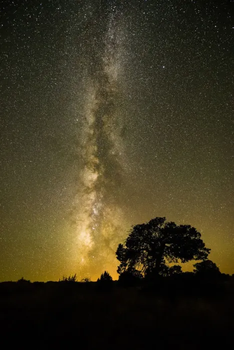 Framed Print : Milky Way over Juniper Tree, Monument Valley Tribal Park, Arizona, USA Framed Print : Milky Way over Juniper Tree, Monument Valley Tribal Park, Arizona, USA
