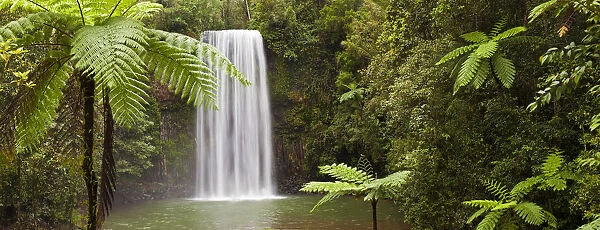 Milla Milla Falls, Atherton Highlands nr Cairns, Queensland, Australia