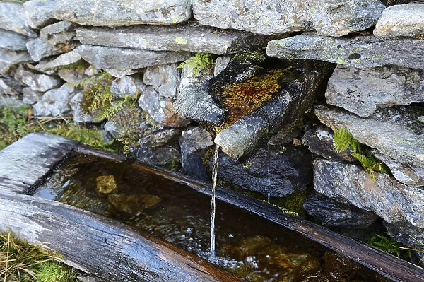 Mineral spring at St. Anna shelter, Upper Lienz, Pusteria, East Tyrol, Austria