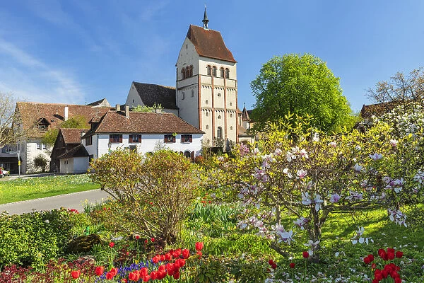 Minster of St. Mary and Marcus, Mittelzell, UNESCO World Heritage Site, Reichenau Island, Lake Constance, Baden Wurttemberg, Germany