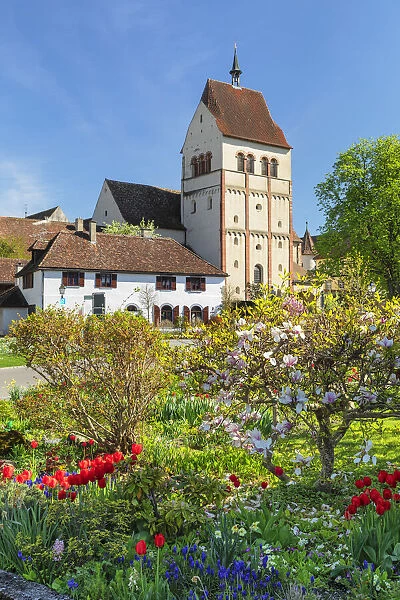 Minster of St. Mary and Marcus, Mittelzell, UNESCO World Heritage Site, Reichenau Island, Lake Constance, Baden Wurttemberg, Germany