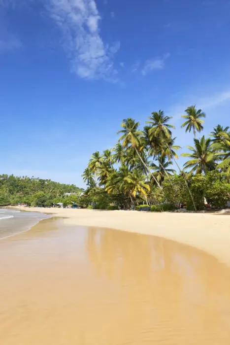 Framed Print : Mirissa beach, Southern Province, Sri Lanka Framed Print : Mirissa beach, Southern Province, Sri Lanka