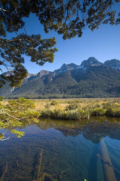 Mirror Pools, Fjordland National Park, South Island, New Zealand