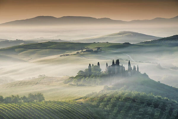 Mist around Belvedere, Val d Orcia, Tuscany, Italy