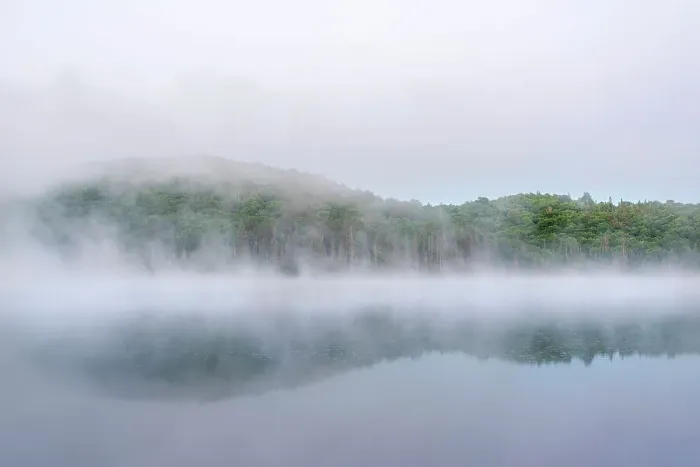 Framed Print : Mist on Brewer Lake, Algonquin Provincial Park, Ontario, Canada