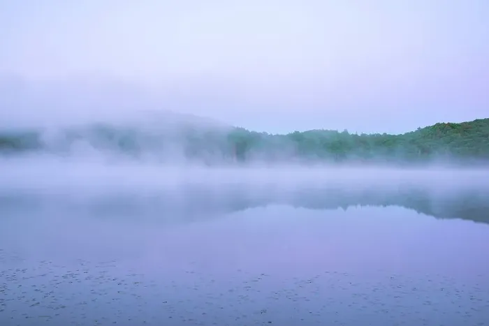 Framed Print : Mist on Brewer Lake, Algonquin Provincial Park, Ontario, Canada