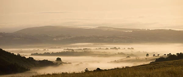 Mist covered countryside at dawn near Llangadog, Brecon Beacons National Park