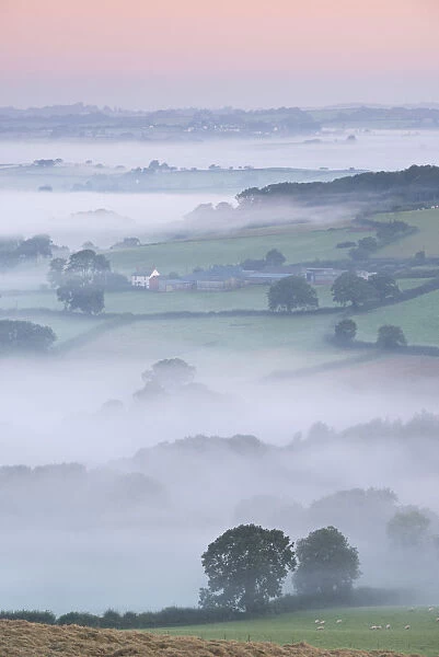 Mist covered countryside at dawn, Stockleigh Pomeroy, Devon, England. Autumn (September)