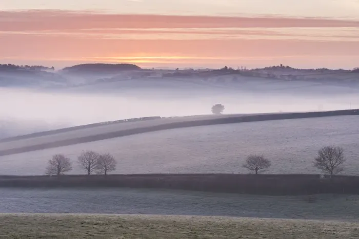 Framed Print : Mist covered frosty countryside near Morchard Bishop, Devon, England. Winter (March) Framed Print : Mist covered frosty countryside near Morchard Bishop, Devon, England. Winter (March)