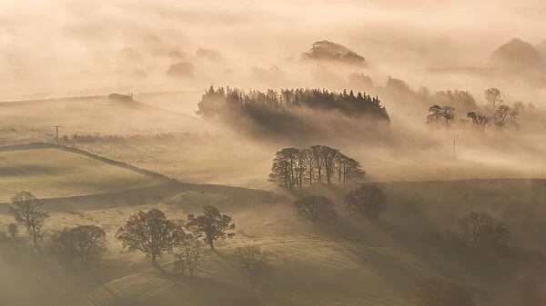 Mist covered rolling countryside at dawn, Lake District, Cumbria, England. Autumn