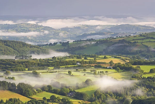 Mist covered rolling countryside at dawn, Brecon Beacons, Wales. Summer (August)