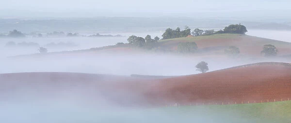 Mist covered rolling farmland, Newbuildings, Devon, England. Autumn (September)