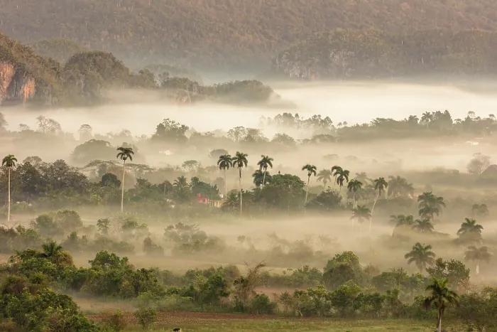 Framed Print : Mist driftng through the Vinales Valley at dawn, Vinales, Pinar del Rio Province, Cuba Framed Print : Mist driftng through the Vinales Valley at dawn, Vinales, Pinar del Rio Province, Cuba