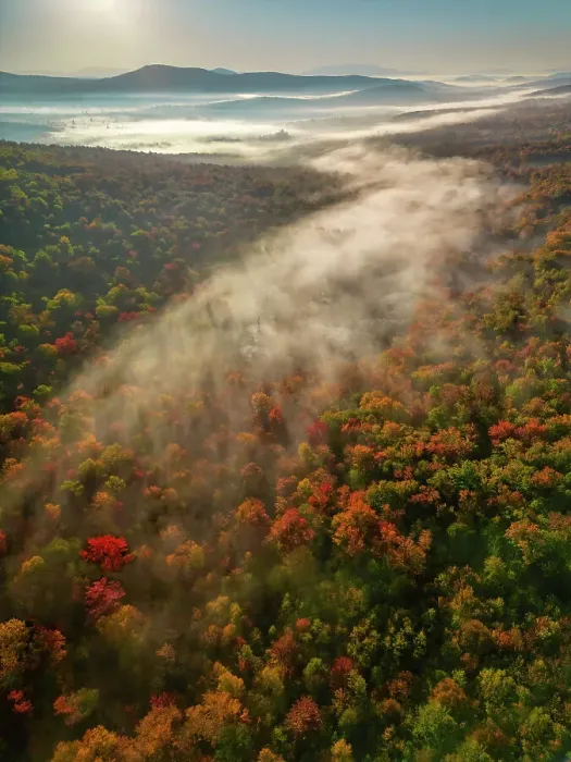 Framed Print : Mist Over Groton State Forest in Autumn, Vermont, New England, USA Framed Print : Mist Over Groton State Forest in Autumn, Vermont, New England, USA