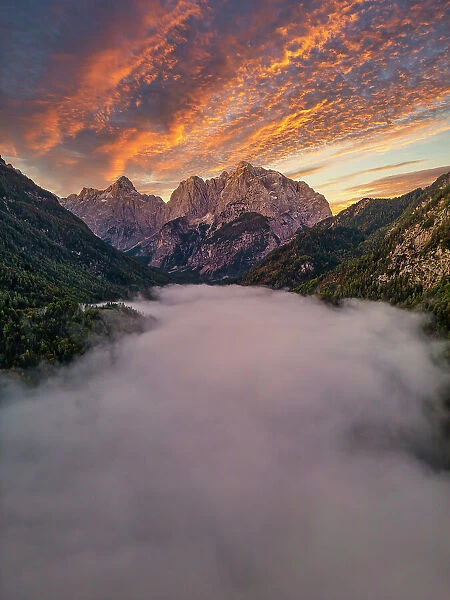 Mist Below Julian Alps at Sunrise, Kranska Gora, Slovenia, Europe
