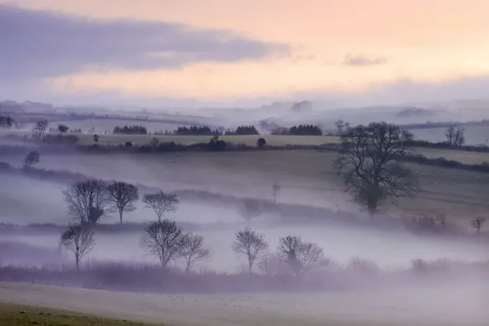 Framed Print : Mist lingers over the landscape by the Flitton Oak, Exmoor National Park, North Molton Framed Print : Mist lingers over the landscape by the Flitton Oak, Exmoor National Park, North Molton