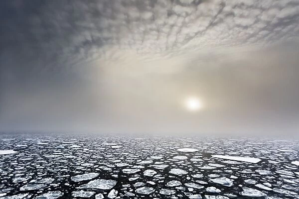 Mist on the pack ice, in the high arctic ocean, north of Spitsbergen, Svalbard islands