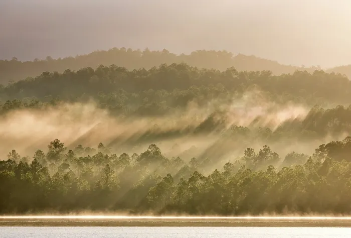 Framed Print : Mist rising off the water of Presa El Salto lake and into woodland, near Vinales, Pinar del Rio Province, Cuba Framed Print : Mist rising off the water of Presa El Salto lake and into woodland, near Vinales, Pinar del Rio Province, Cuba